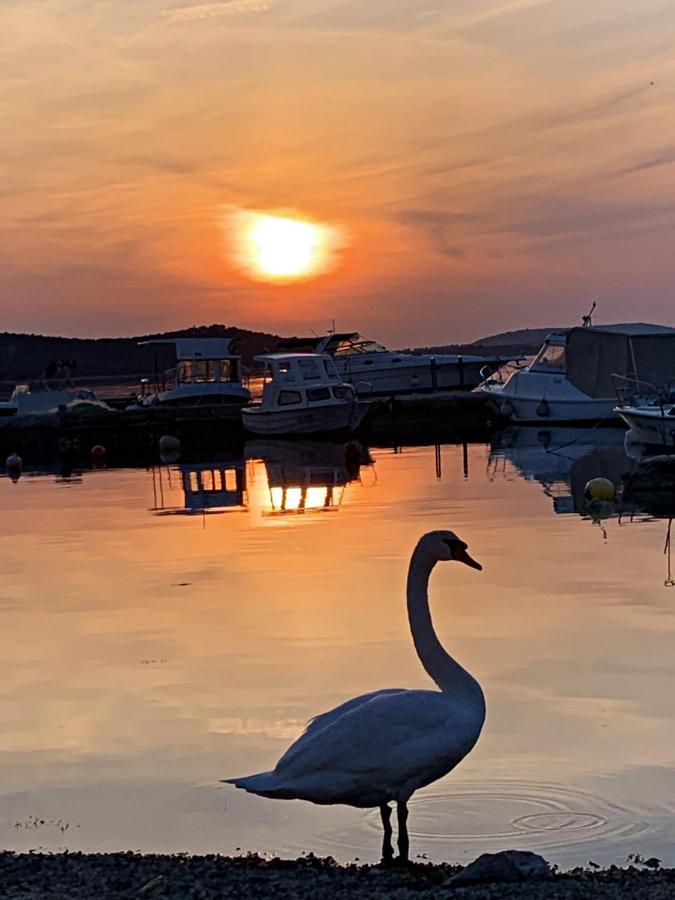 Apartments Villa Ra Žaborić Kültér fotó